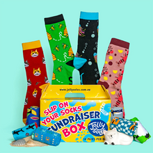 Load image into Gallery viewer, WDSD ROCK YOUR SOCKS &#39;Box of  14 Socks&#39; Fundraiser