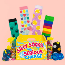 Load image into Gallery viewer, WDSD ROCK YOUR SOCKS &#39;Box of  14 Socks&#39; Fundraiser