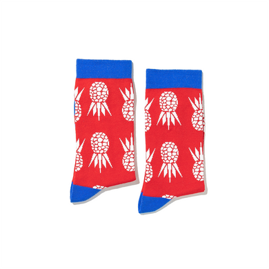 Red Pineapples WDSD Rock Your Socks Assorted Sizes
