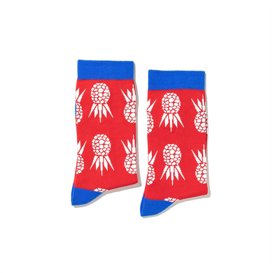 Red Pineapples WDSD Rock Your Socks Assorted Sizes  RYSS
